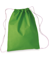 Load image into Gallery viewer, Budget Drawstring Bag - AMS Manufacturing and Printing